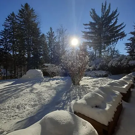 شقة Przy Swierku *