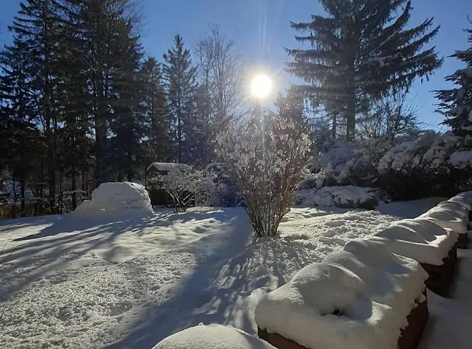 公寓 Przy Swierku *